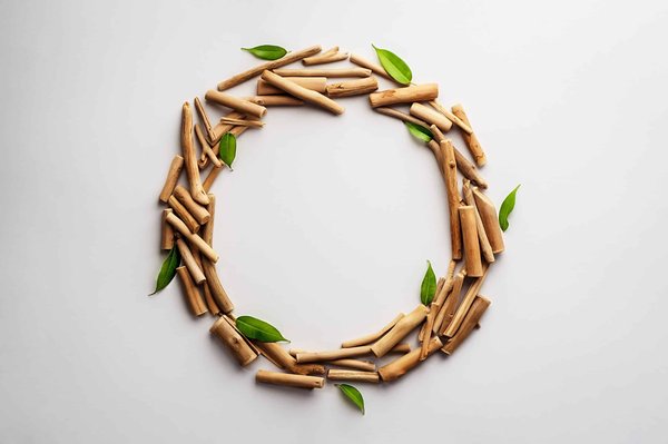 Quels sont les meilleurs moyens de préserver la fraîcheur des aliments en camping sans glacières ?