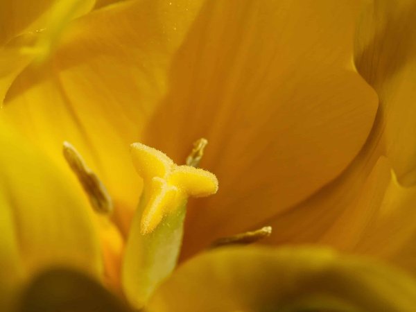 Comment choisir une maison de vacances dans un village de pêcheurs grec pour une immersion locale ?